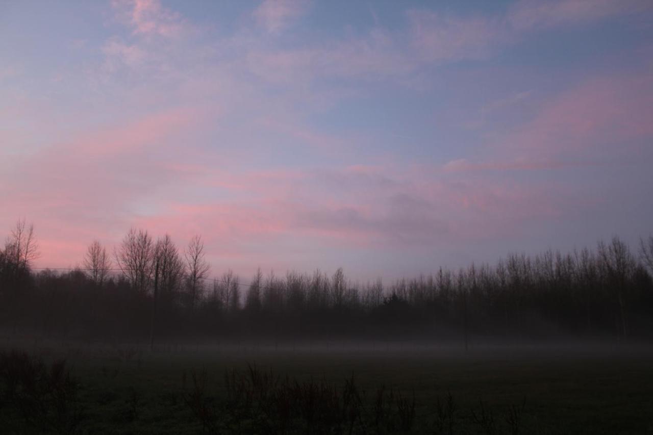 B&B Leybeeckhof Holsbeek Buitenkant foto